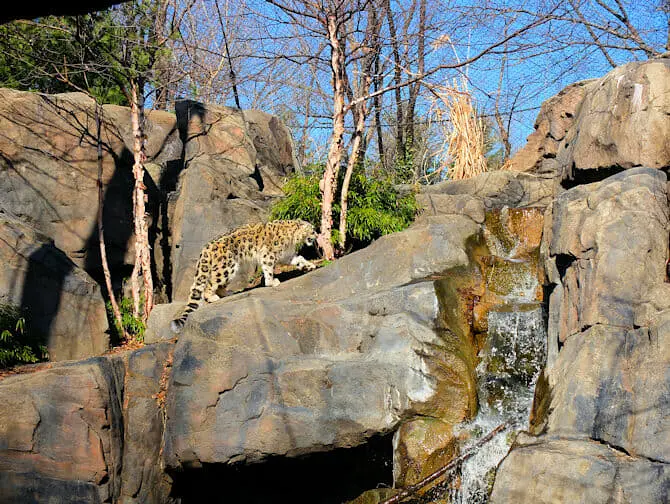 ニューヨーク セントラルパーク - 動物園