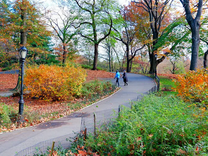ニューヨーク 公園