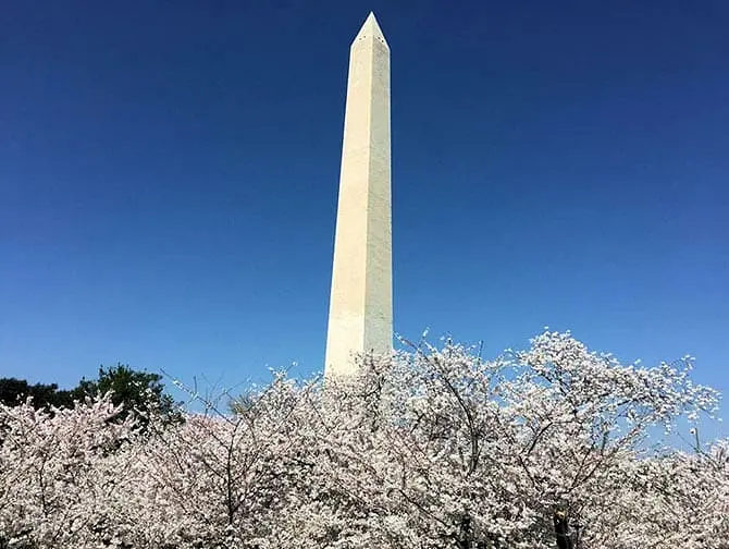 ニューヨーク 発 ワシントン DC バスツアー - ワシントン記念塔