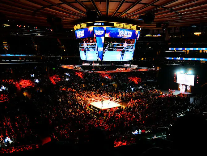 ニューヨーク WWE レスリング チケット - 観衆