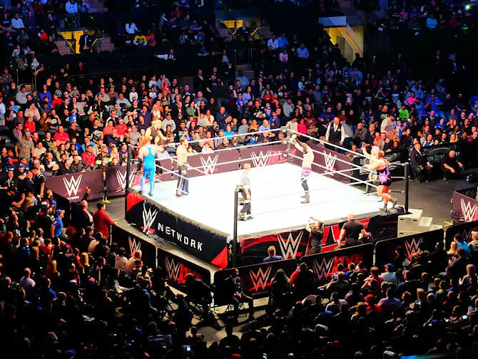 ニューヨーク WWE レスリング チケット - 試合