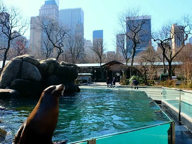 セントラルパーク 動物園 チケット