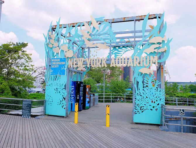ニューヨーク 水族館