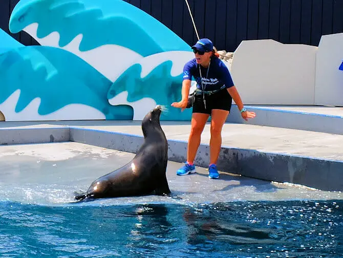 ニューヨーク 水族館 - 餌やり