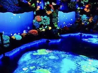 ナショナルジオグラフィック エンカウンター オーシャン オデッセイ - 深海