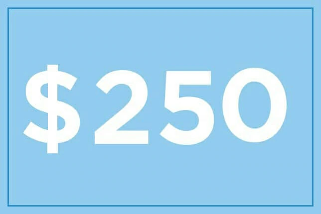 $250 ギフト券