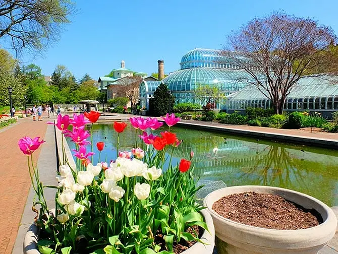 ニューヨークの植物園 - ブルックリン植物園
