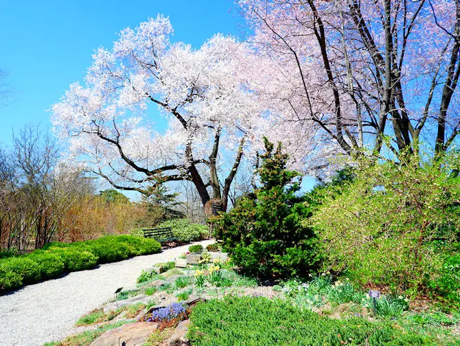 ニューヨークの植物園 - ブロンクスのニューヨーク植物園