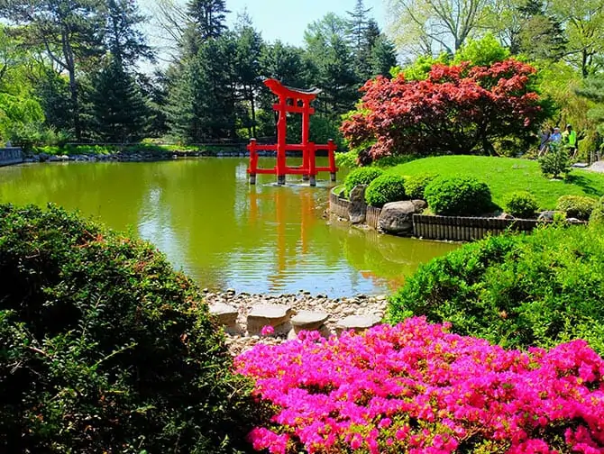 ニューヨークの植物園