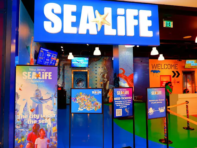 ニューヨーク近くのアメリカンドリームモール - シーライフ水族館