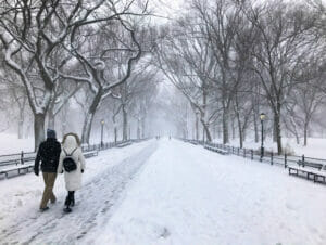 ニューヨークの雪