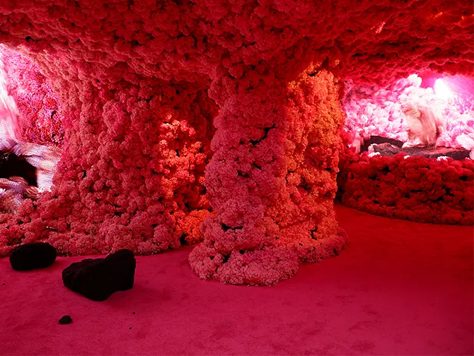ニューヨークのマーサーラボ - 体験