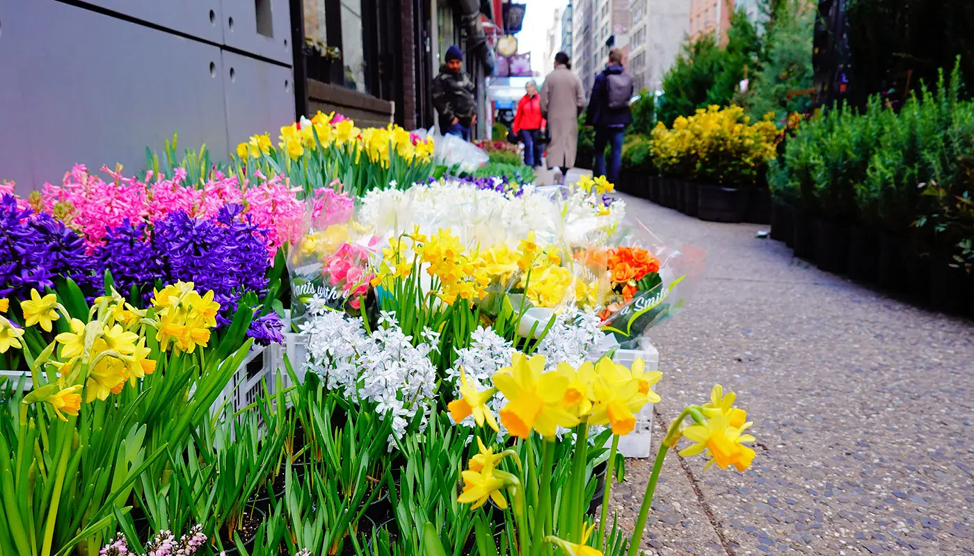 ミッドタウンマンハッタンのホテル - Cambria Hotel New York Chelsea